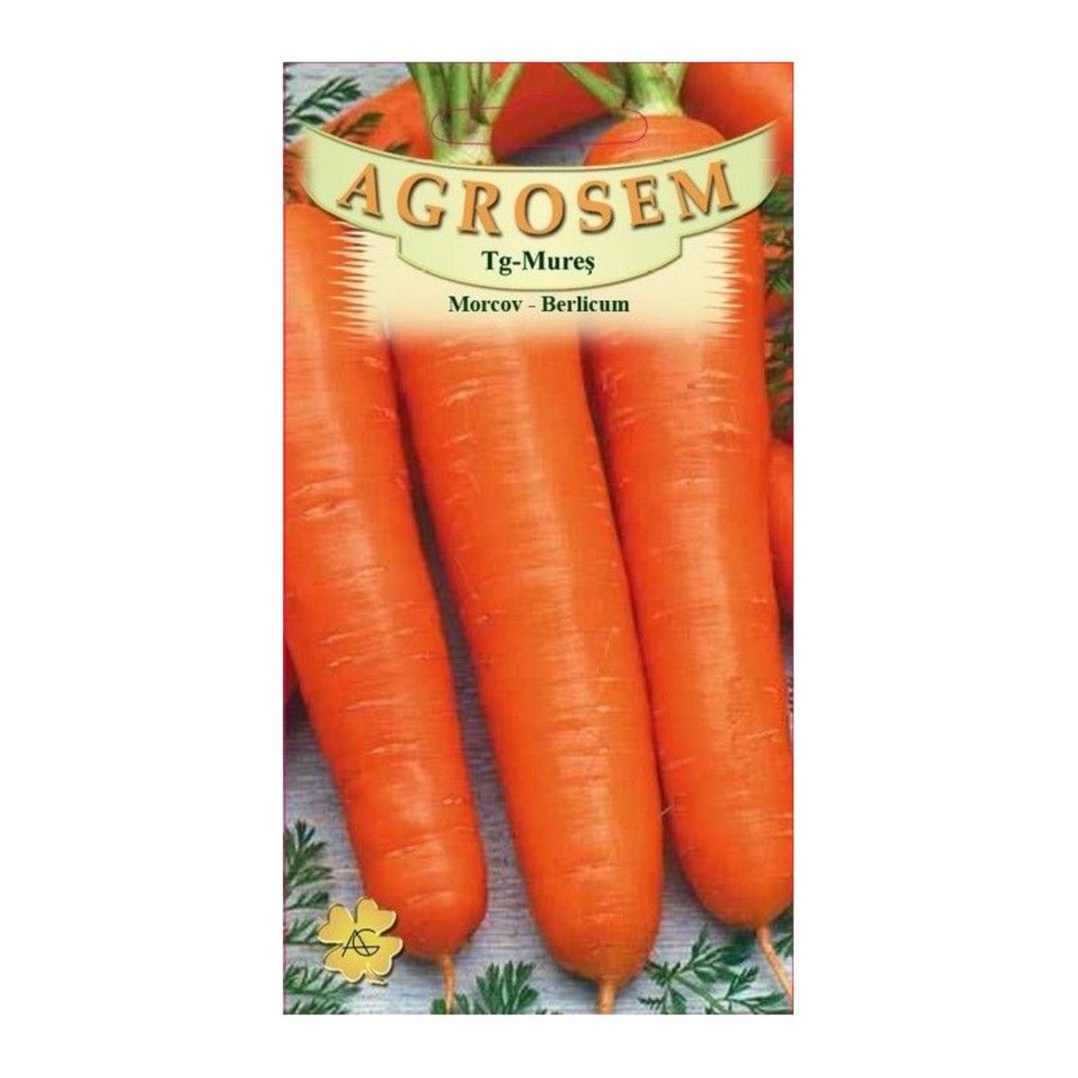 Seminte Morcov Berlicum AGROSEM 25 g, 1, hectarul.ro