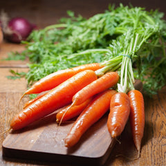 Seminte Morcov NANTES 2 Agrosel 100 G