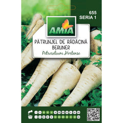 Seminte Patrunjel RAD.BERLINER A AMIA 5gr