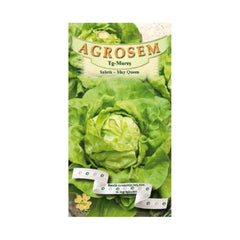 Seminte pe banda Salata May Queen AGROSEM 3 benzi