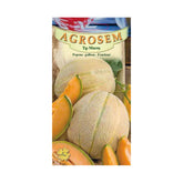 Hectarul - Seminte Pepene galben Fondant AGROSEM 5 grame