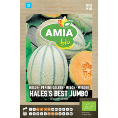 Seminte Pepene Galben Hales's Best Jumbo BIO AMIA 1gr