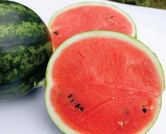 Seminte Pepene verde Burebista F1 - 500 sem, HEKTAR SEEDS