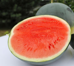 Seminte Pepene verde Otoman F1 - 500 sem, HEKTAR SEEDS