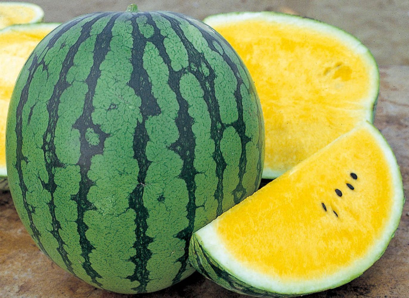 Seminte Pepene verde Peace F1 - 100 sem, HEKTAR SEEDS, 1, hectarul.ro