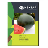 Hectarul - Seminte Pepene verde Semaca F1 HEKTAR 100 sem