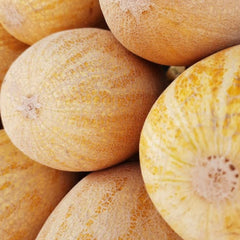 Seminte Pepeni galbeni ANANAS Horti Tops 2 g