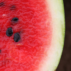 Seminte Pepeni Verzi SORENTO F1 Syngenta 1000 sem