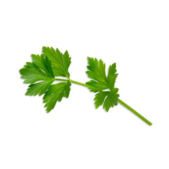 Seminte Plante aromatice Leustean COMMUN Pop Vriend 500 g