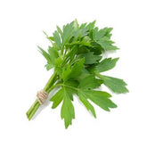 Hectarul - Seminte Plante aromatice LEUSTEAN Horti Tops 0.5 g