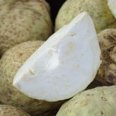 Hectarul - Seminte Plante aromatice TELINA PT. RADACINA DOLVI Horti Tops 0.5 g