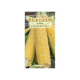 Hectarul - Seminte Porumb super dulceGucio F1TRATAT AGROSEM 50 g