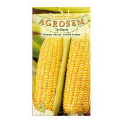 Seminte Porumb zaharat  Golden BantamTRATAT AGROSEM 40 g