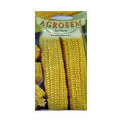 Seminte Porumb zaharat Royalty F1 TRATAT AGROSEM 10 g