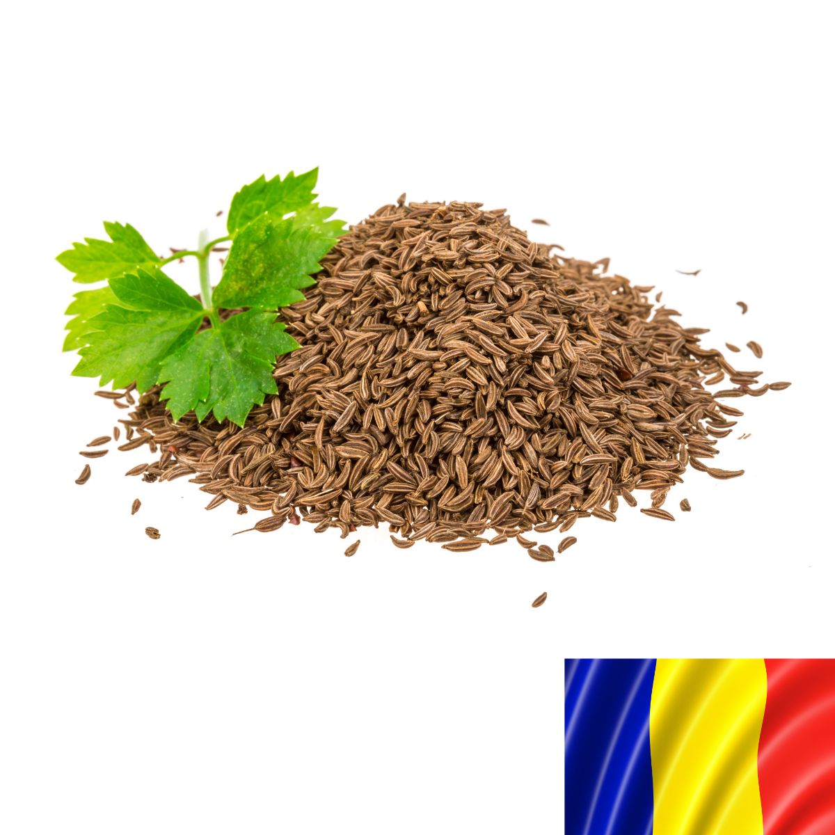 Seminte romanesti de chimen CAROL, 5gr, SCDL Buzau, 1, hectarul.ro