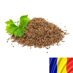 Seminte romanesti de chimen CAROL, 5gr, SCDL Buzau