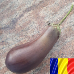 Seminte romanesti de vinete DRAGAICA, 5gr, SCDL Buzau