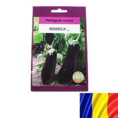 Seminte romanesti de vinete Rebeca 2gr, SCDL Buzau
