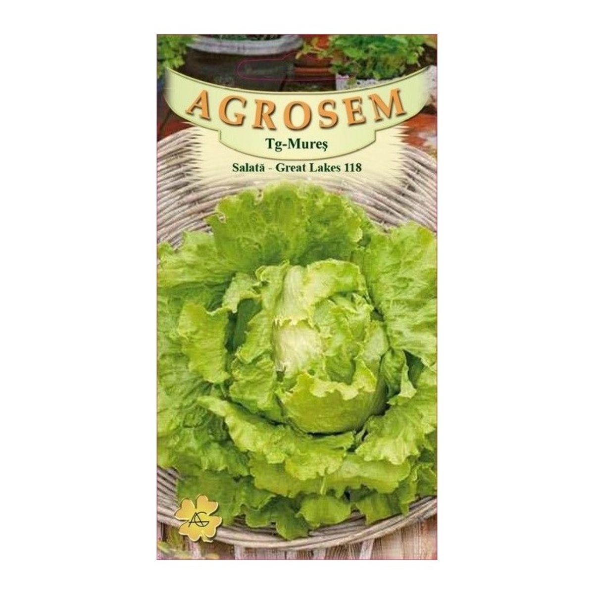 Seminte Salata iceberg Great Lakes AGROSEM 15 g, 1, hectarul.ro