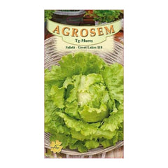 Seminte Salata iceberg Great Lakes AGROSEM 15 g
