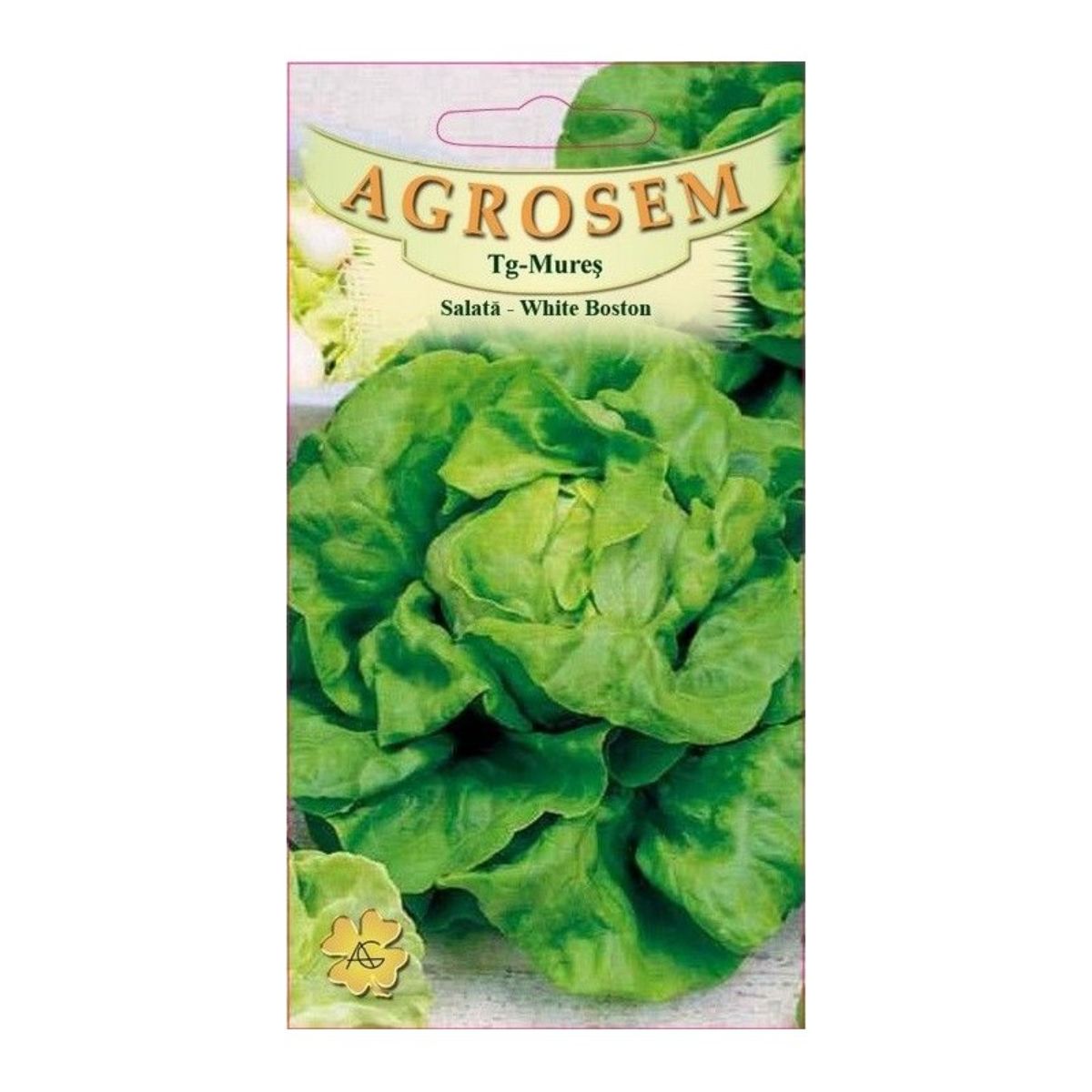 Seminte Salata White  Boston AGROSEM 15 g, 1, hectarul.ro