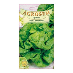 Seminte Salata White  Boston AGROSEM 15 g