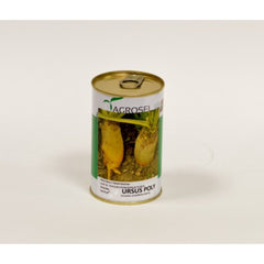 Seminte Sfecla furajera Ursus Poly 100g