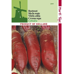 Seminte Sfecla rosie CYLINDRA Horti Tops 5 g