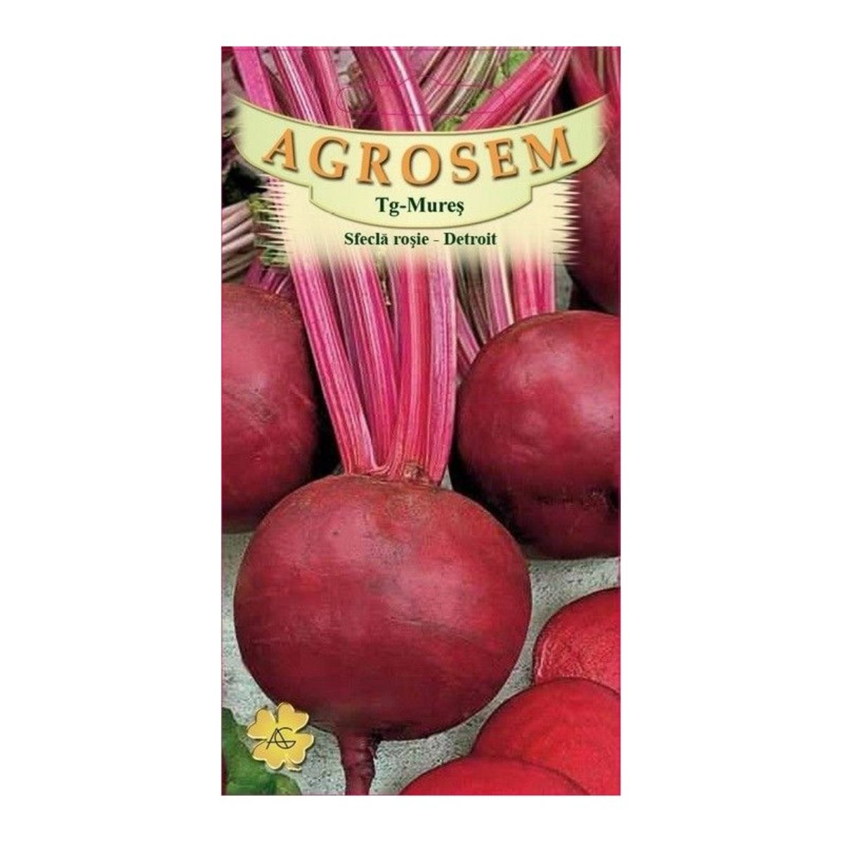 Seminte Sfecla  rosie Detroit AGROSEM 500 g, 1, hectarul.ro