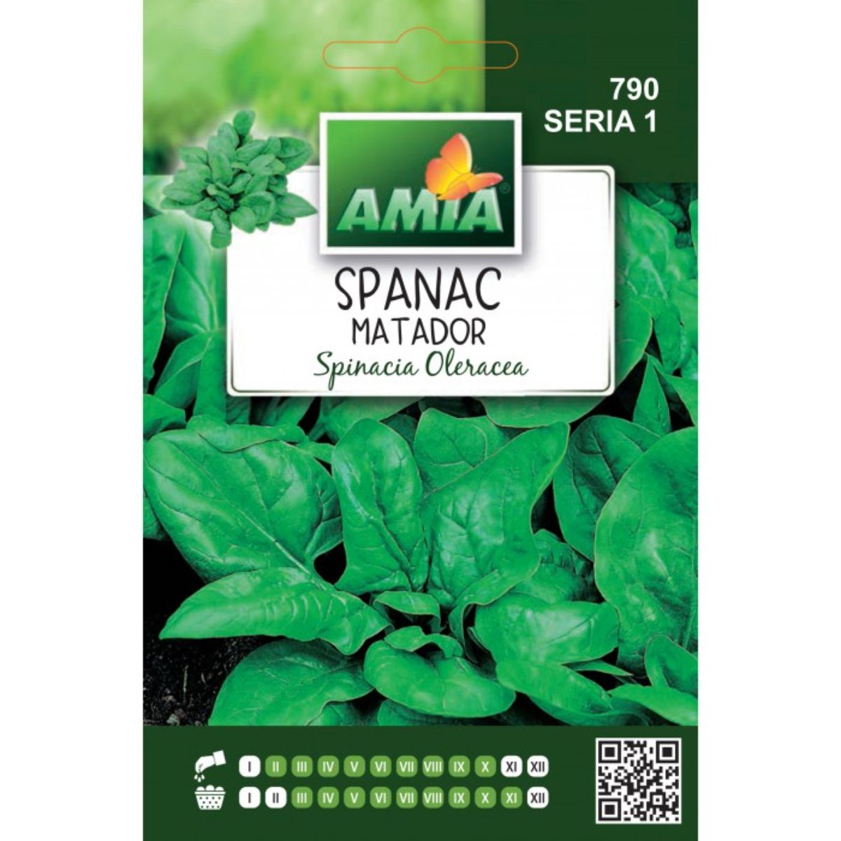 Seminte Spanac MATADOR A AMIA 10gr, 1, hectarul.ro