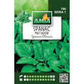 Hectarul - Seminte Spanac MATADOR A AMIA 10gr