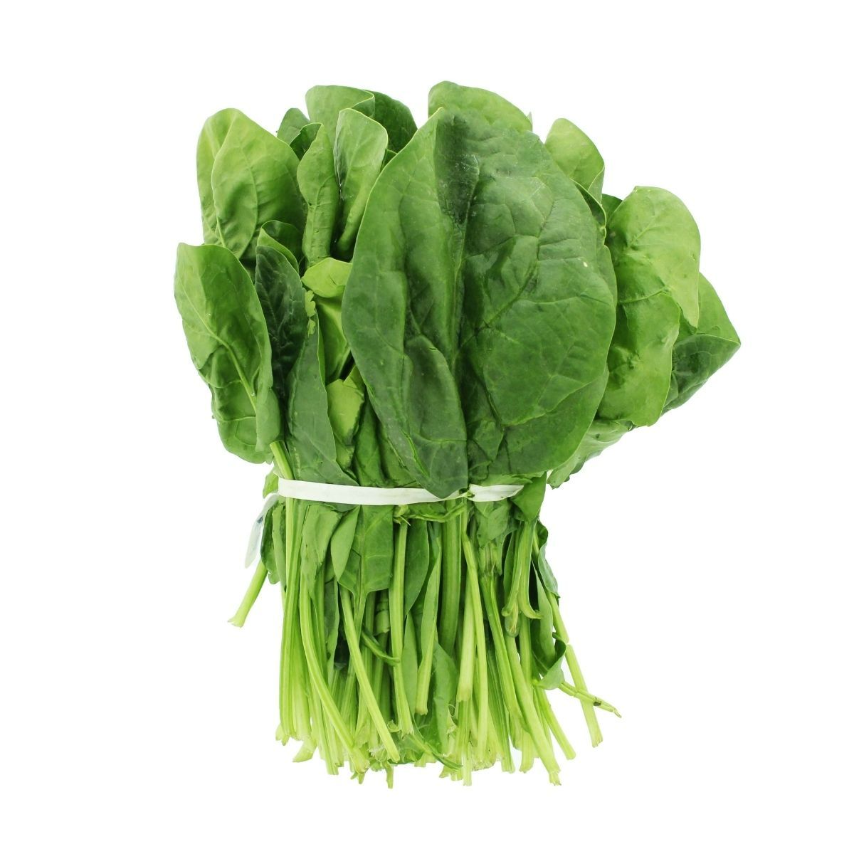 Seminte Spanac MATADOR Pop Vriend 1 kg, 1, hectarul.ro