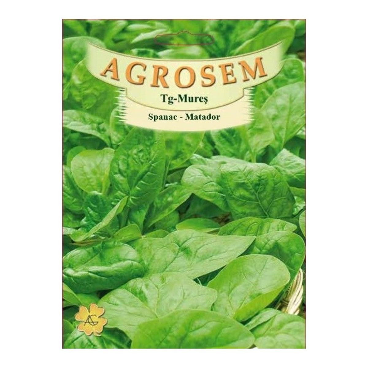 Seminte Spanac Matador TRATAT AGROSEM 250 g, 1, hectarul.ro
