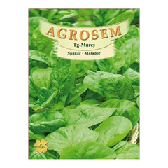 Seminte Spanac Matador TRATAT AGROSEM 500 g