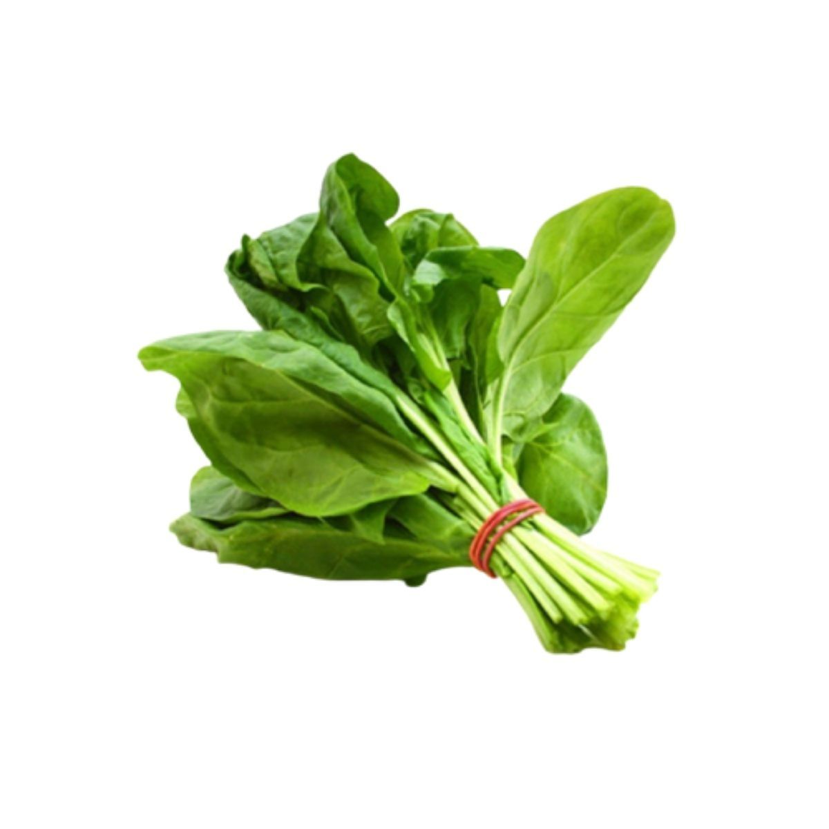 Seminte Spanac NORES Pop Vriend 100 g, 1, hectarul.ro