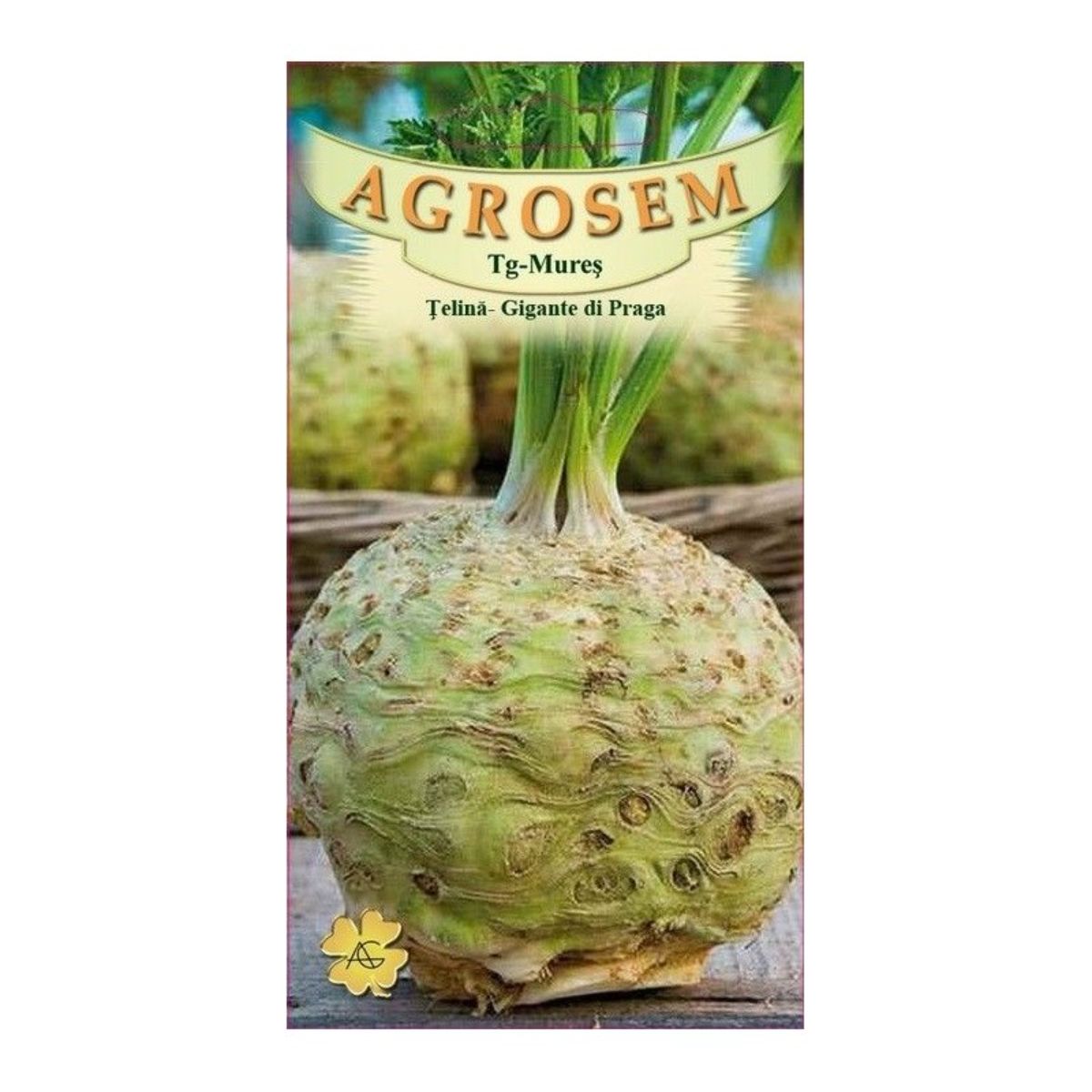 Seminte Telina Gigante Di Praga AGROSEM 10 g, 1, hectarul.ro