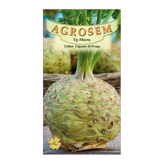 Seminte Telina Gigante Di Praga AGROSEM 10 g