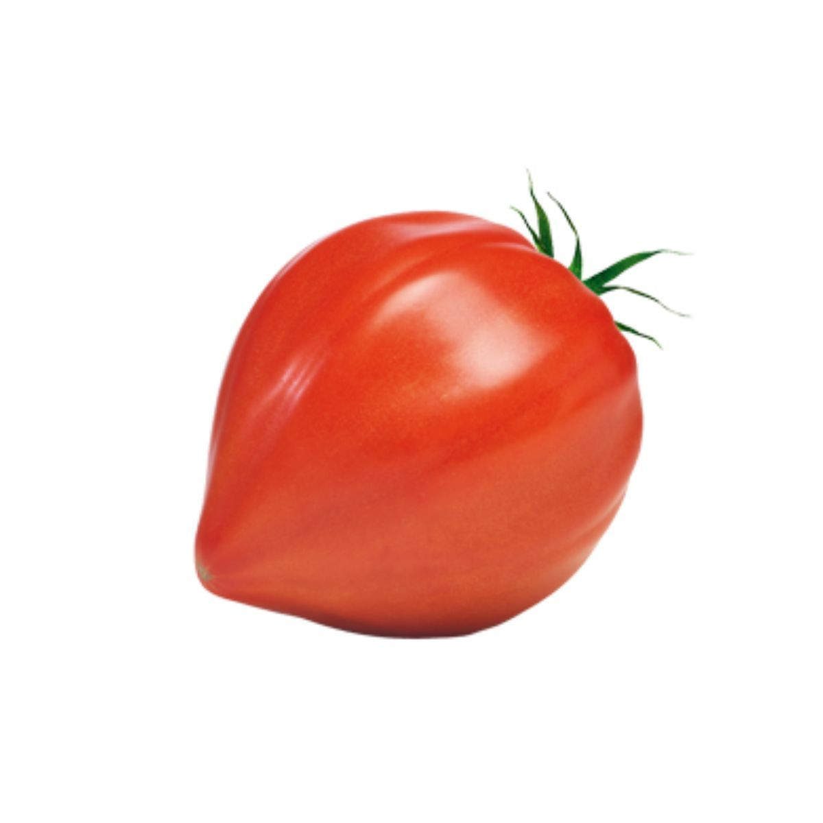 Seminte Tomate INIMA DE BOU (Coeur de Boeuf) Pop Vriend 5 g, 1, hectarul.ro