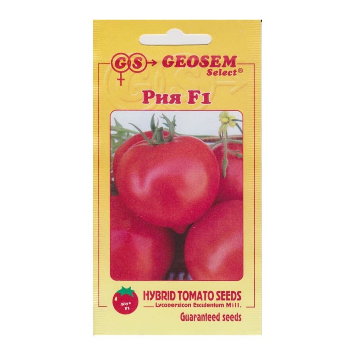Seminte Tomate semi-timpurii RIYA GeosemSelect 1000 sem, 1, hectarul.ro