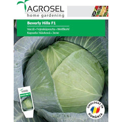 Seminte Varza alba BEVERLY HILLS F1 Agrosel 2500SEM