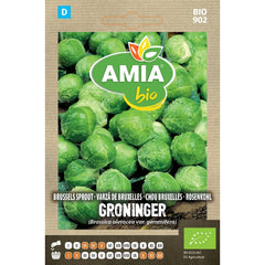 Seminte Varza De Bruxelles Groninger BIO AMIA 1.5gr