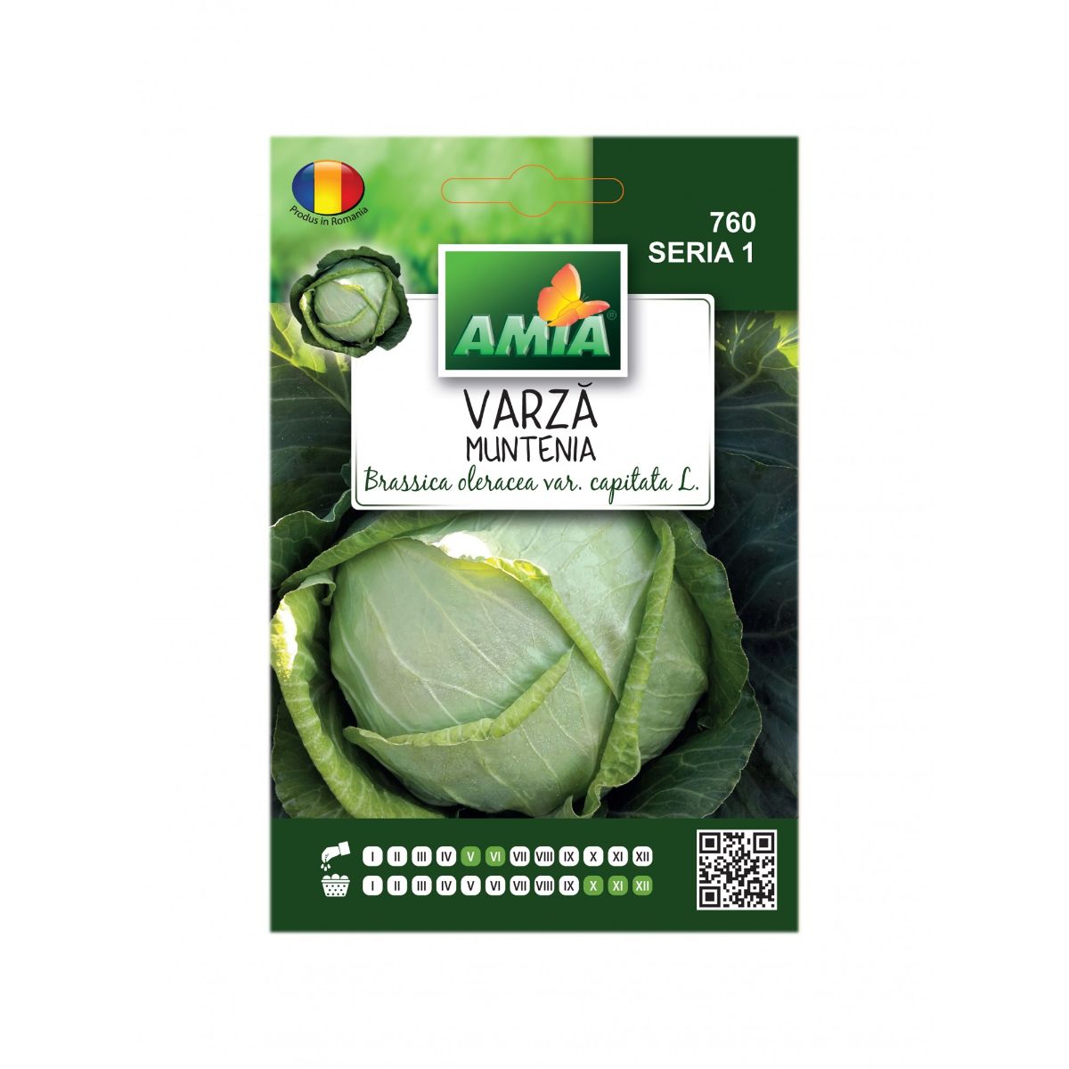 Seminte Varza De TOAMNA Muntenia B AMIA 2gr, 1, hectarul.ro