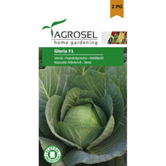 Seminte Varza Gloria F1 ** Agrosel 100 sem