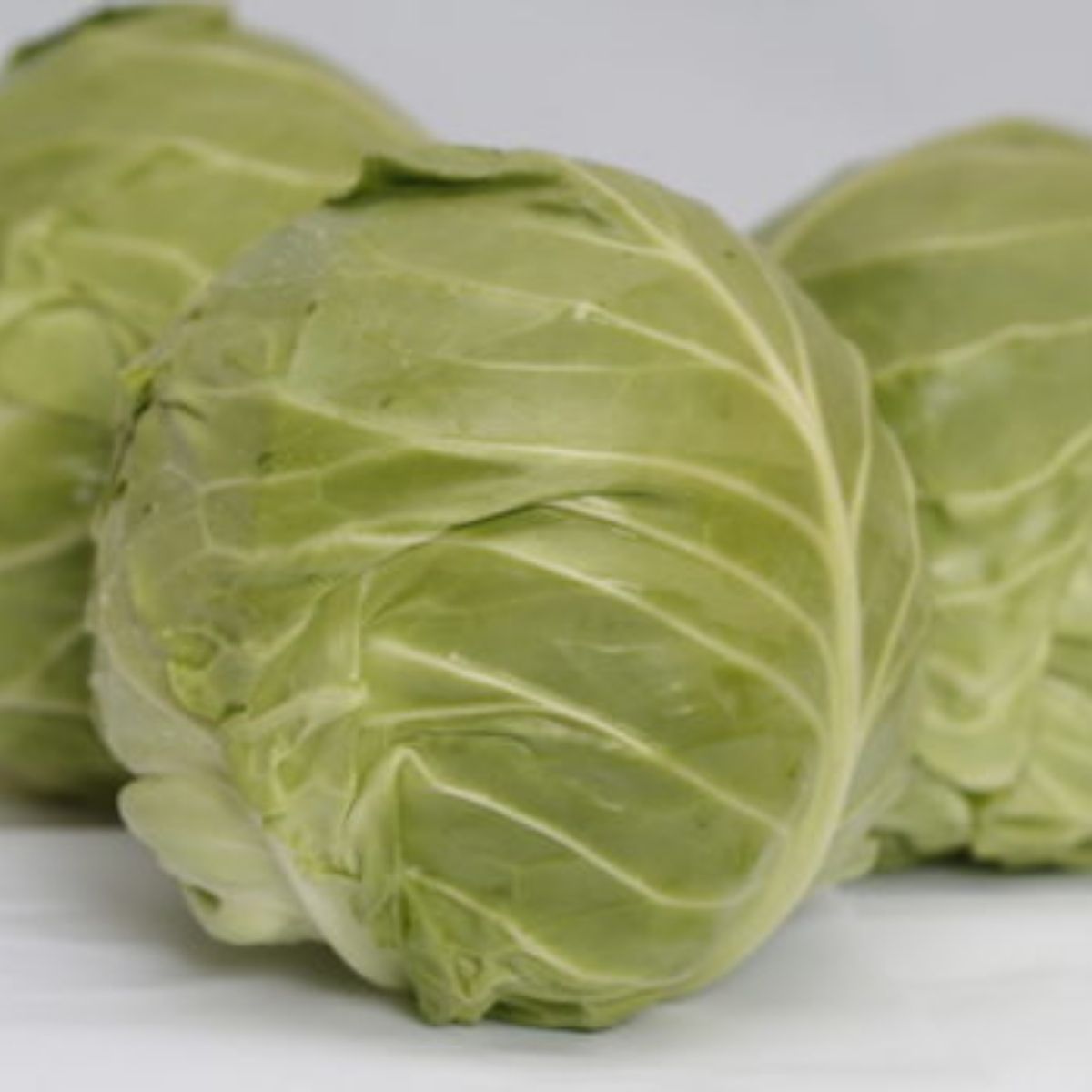 Seminte Varza JETMA F1 PR Rijk Zwaan 2500 sem, 1, hectarul.ro