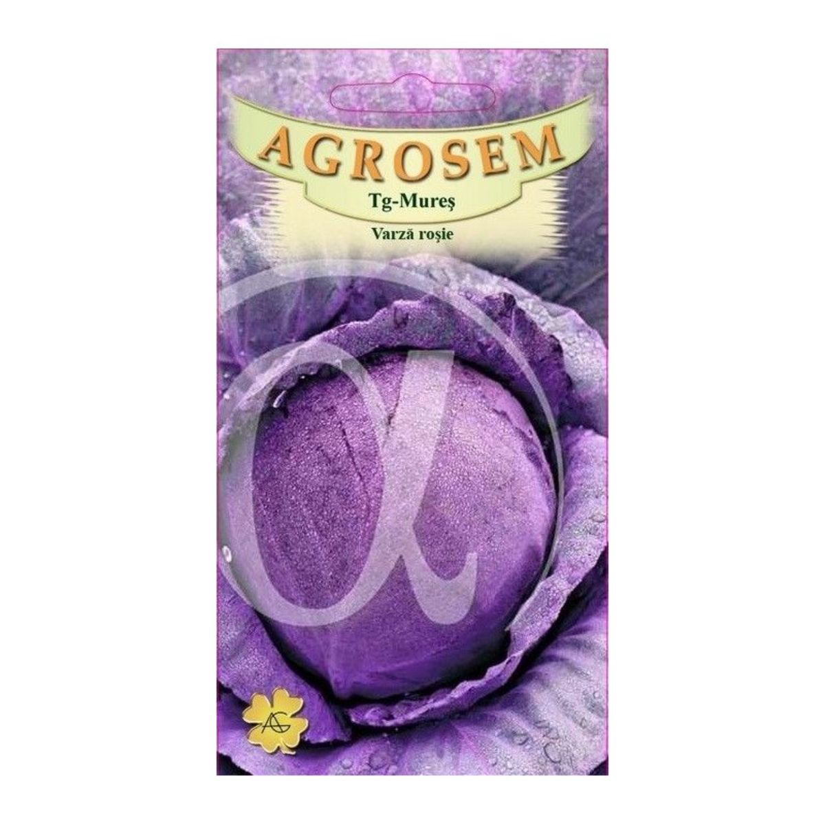 Seminte Varza rosie Tete Noire AGROSEM 20 g, 1, hectarul.ro