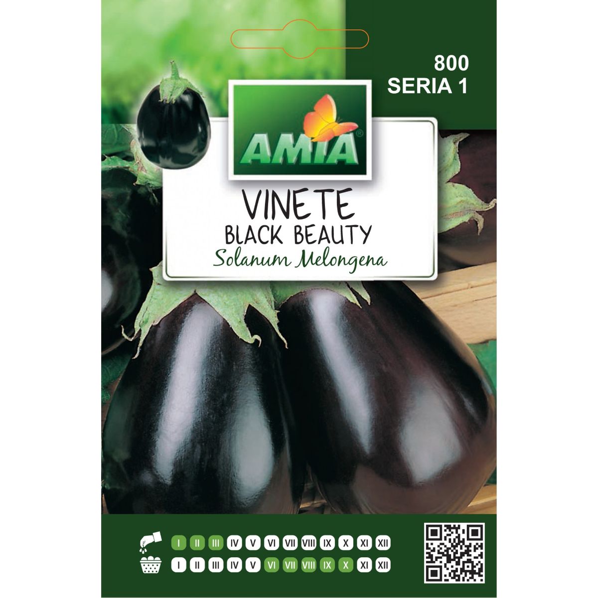 Seminte Vinete BLACK BEAUTY A AMIA 2gr, 1, hectarul.ro