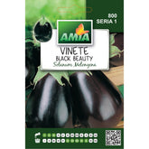 Hectarul - Seminte Vinete BLACK BEAUTY A AMIA 2gr