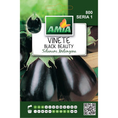 Seminte Vinete BLACK BEAUTY A AMIA 2gr