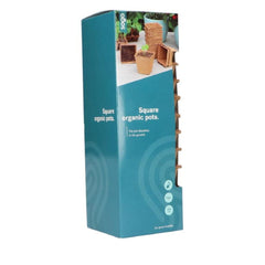 Set 10 ghivece organice, biodegradabile, 26x8,5x8,5 cm. SOGO