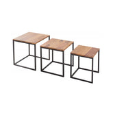 Hectarul - Set 3 masute de cafea Elements Invicta